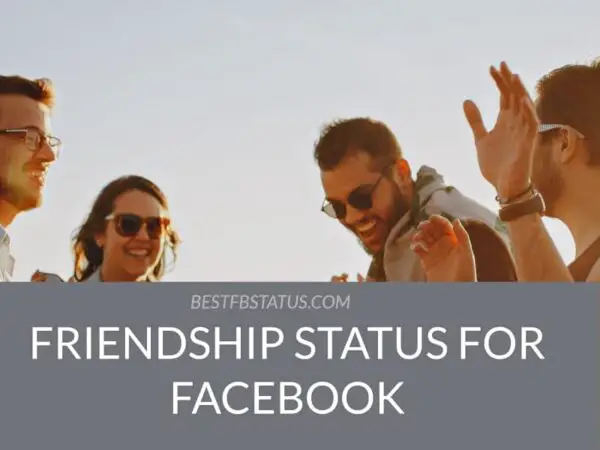 friendship status for facebook