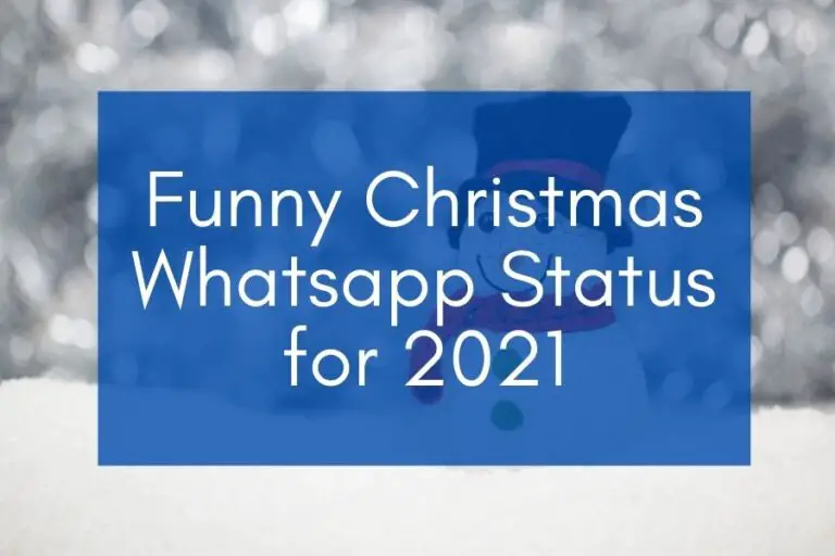 80x Funny Christmas Whatsapp Status [for 2022]