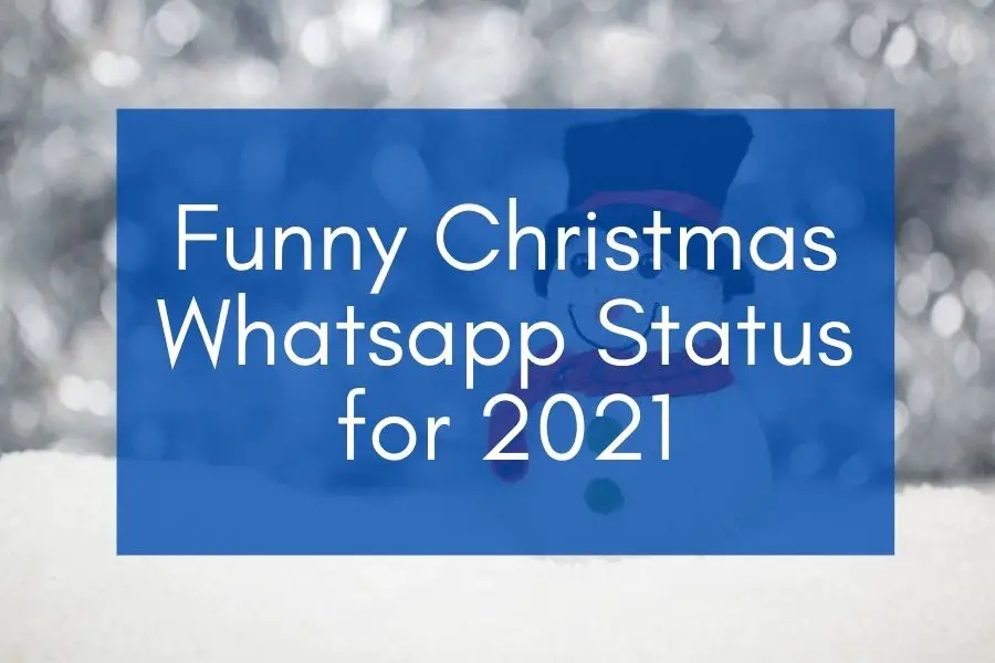 80x Funny Christmas Whatsapp Status [for 2022] – Best FB Status