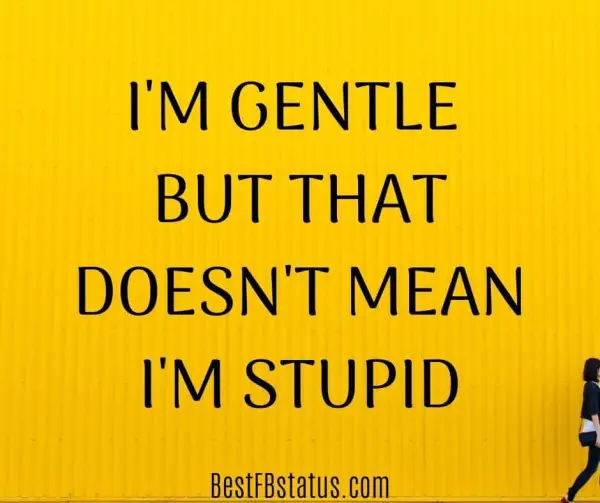 Yellow background with the text: "I'm gentle, but it doesn’t mean I’m stupid."