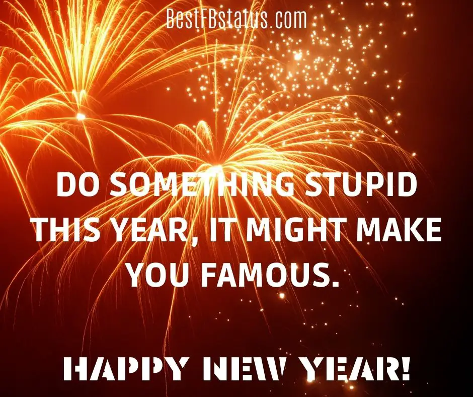 Do something stupid this year, it might make you famous. Happy new year