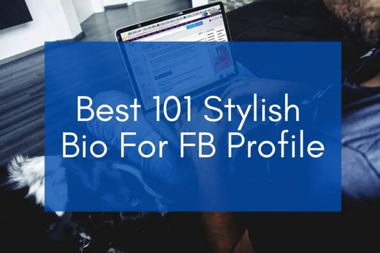 Best 101 Stylish Bio For FB Profile
