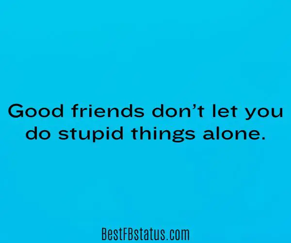 Blue background with the text: "Good friends don’t let you do stupid things alone." 