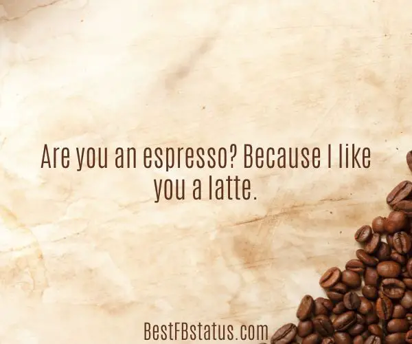 Brown background with the text: "Are you an espresso? Because I like you a latte."