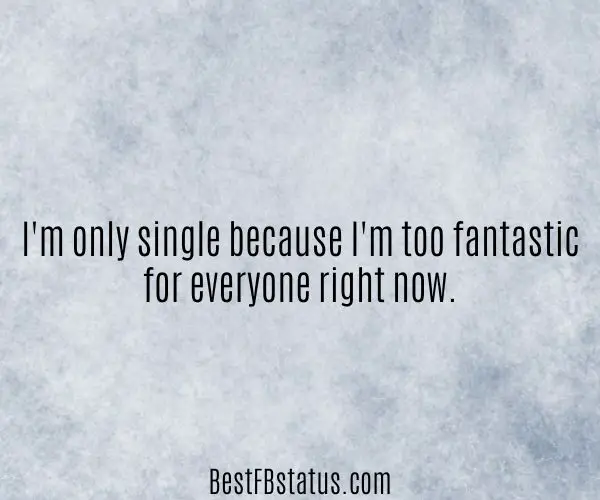 Gray background with the text: "I'm only single because I'm too fantastic for everyone right now."