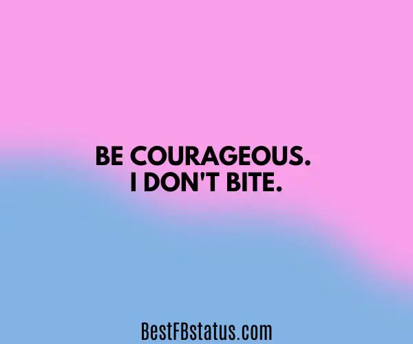 Pink and blue background with the text: "Be courageous. I don't bite."