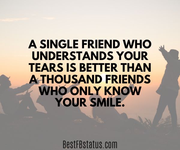 A background of a group of friends with the text: "A single friend who understands your tears is better than a thousand friends who only know your smile."
