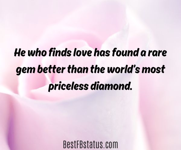 Pink rose background with the text: "He who finds love has found a rare gem better than the world’s most priceless diamond."