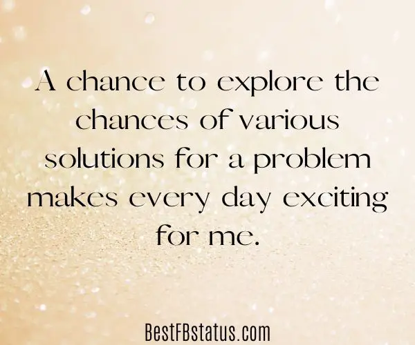 Gold background with the text: "A chance to explore the chances of various solutions for a problem makes every day exciting for me."