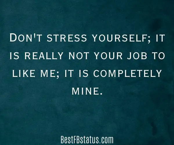 Dark green background with the text: "Don't stress yourself; it is really not your job to like me; it is completely mine."