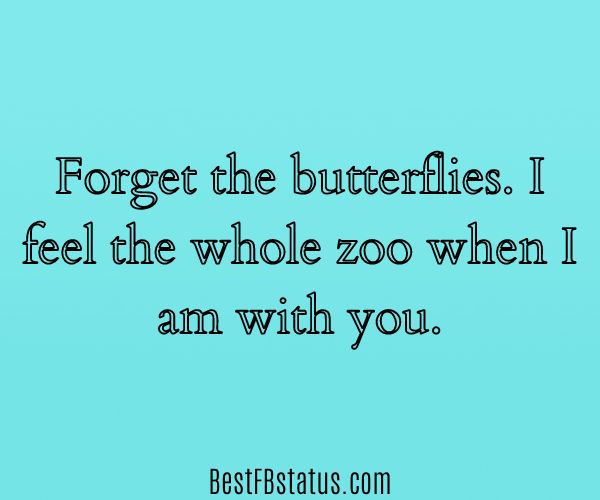 Turquoise background with the text: "Forget the butterflies; I feel the whole zoo when I'm with you."