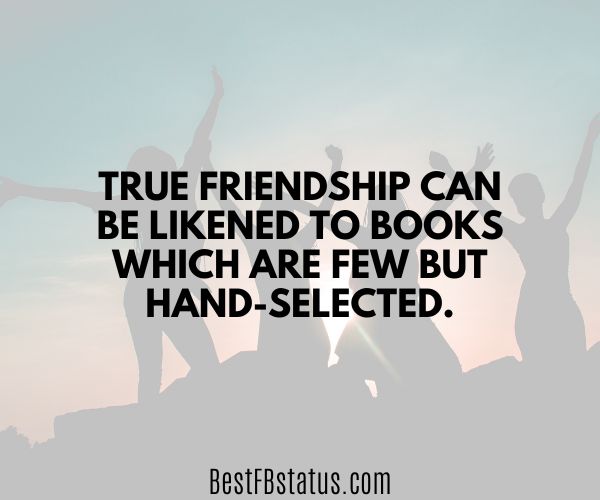A background of a group of friends with the text: "True friendship can be likened to books which are few but hand-selected."