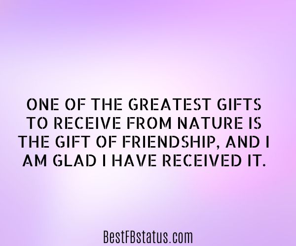 Violet background with the text: "One of the greatest gifts to receive from nature is the gift of friendship, and I am glad I have received it."