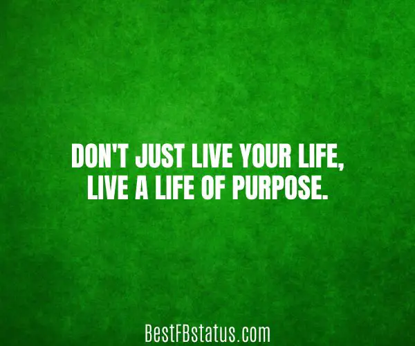 Green background with the text: "Don't just live your life, live a life of purpose."