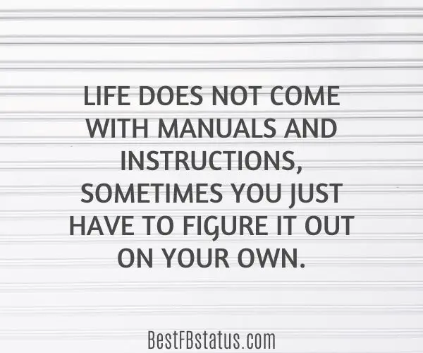 White background with the text: "Life does not come with manuals and instructions, sometimes you just have to figure it out on your own."