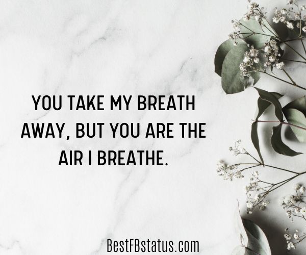 Light background with leaves and the text: "You take my breath away, but you are the air I breathe."