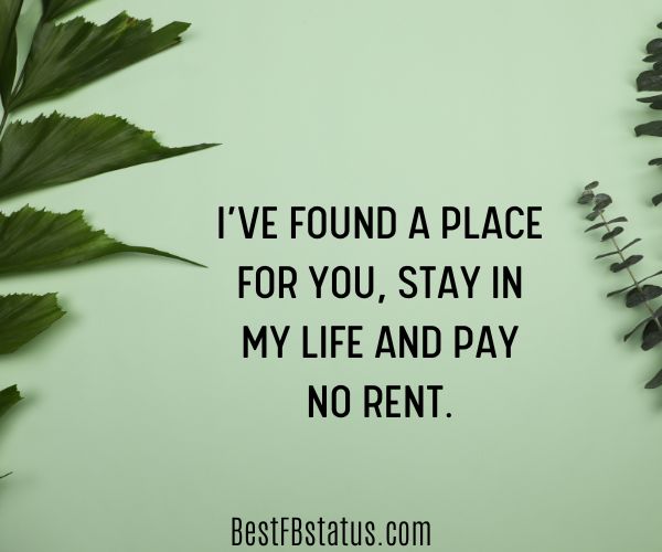 Green background with plants and the text:  "I’ve found a place for you, stay in my life and pay no rent."