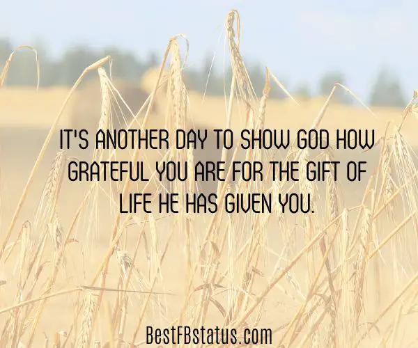 An image of a wilderness as background with the text: "It's another day to show God how grateful you are for the gift of life he has given you."