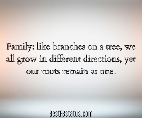 Gradient background with the text: "Family: like branches on a tree, we all grow in different directions, yet our roots remain as one."