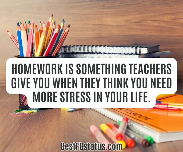 Image saying "Homework is something teachers give you when they think you need more stress in your life." - Unknown
