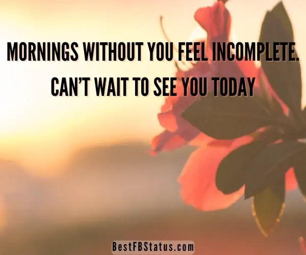 Image saying "Mornings without you feel incomplete. Can’t wait to see you today." - Flirty Good Morning Quotes for Him