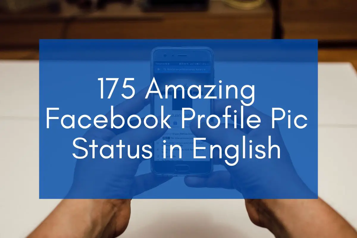 175 Amazing Facebook Profile Pic Status in English (2024) Best FB Status