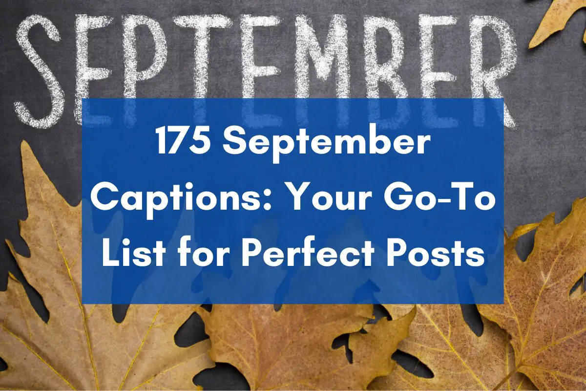 211-perfect-captions-for-facebook-dp-stand-out-with-style-best-fb